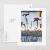 Iris Garden Postcard Postkarte (Vorne/Hinten)