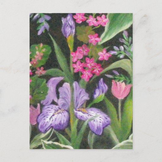 Iris Garden Postcard Postkarte (Vorderseite)