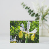 Iris Garden Postcard Postkarte (Stehend Vorderseite)