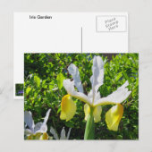 Iris Garden Postcard Postkarte (Vorne/Hinten)