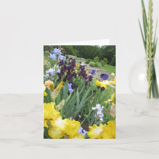 Iris Garden Small Blank Note Card Karte (Vorderseite)