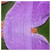 Iris Garden...... Stoff (Nahaufnahme)