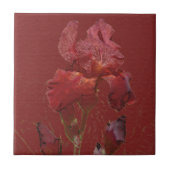 Iris-Garten-Blume Burgunders rote Fliese (Vorderseite)