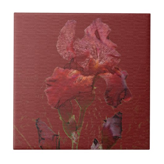 Iris-Garten-Blume Burgunders rote Fliese (Vorderseite)