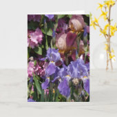 Iris-Garten-lila blaues Rosa Karte (Gelbe Blume)