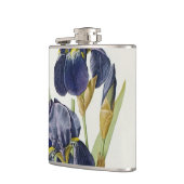 Iris Germanica, von "Les Liliacees", 1805 Flachmann (Links)