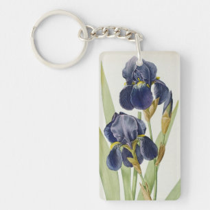 Iris Germanica, von "Les Liliacees", 1805 Schlüsselanhänger