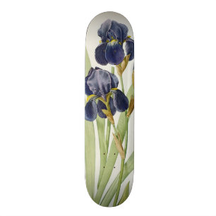 Iris Germanica, von "Les Liliacees", 1805 Skateboard