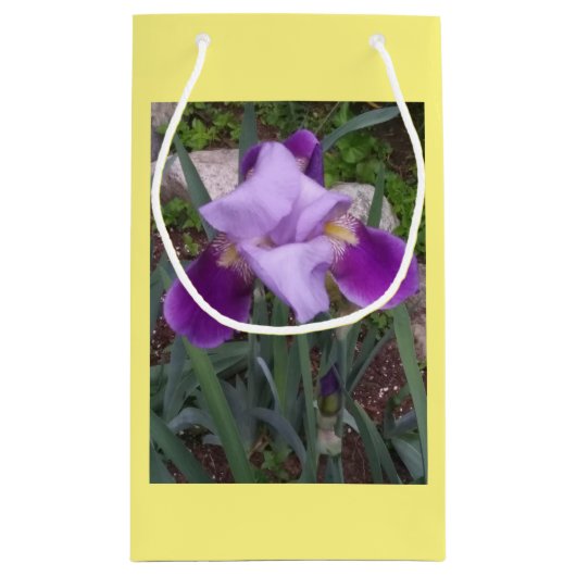 Iris Gift Bag Kleine Geschenktüte (Rückseite)