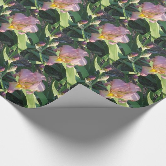 Iris-glattes Packpapier (Ecke)