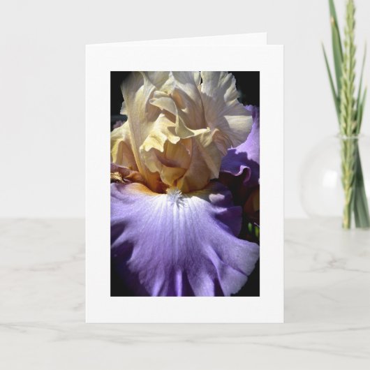 Iris-Gruß-Karte Karte (Vorderseite)