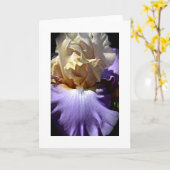 Iris-Gruß-Karte Karte (Gelbe Blume)