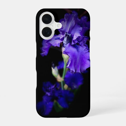 Iris-Handyhülle iPhone 16 Hülle (Rückseite)