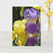 Iris im Frühling Karte (Gelbe Blume)