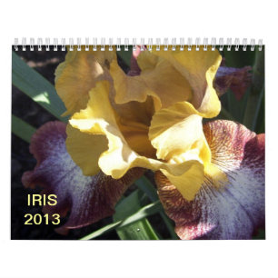 Iris im Garten Kalender