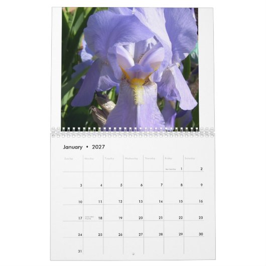 Iris im Garten Kalender (Jan 2027)