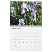 Iris im Garten Kalender (Feb 2027)