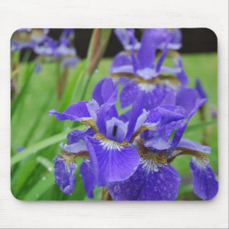 Iris im Garten Mousepad