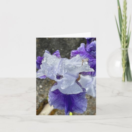 Iris in den Toten Dankeskarte (Vorderseite)