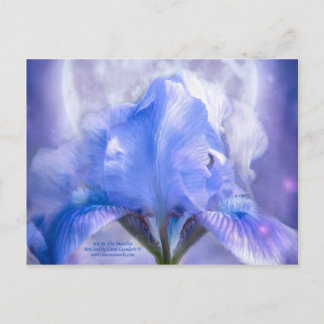 Iris in der Postkarte des Monlite Art