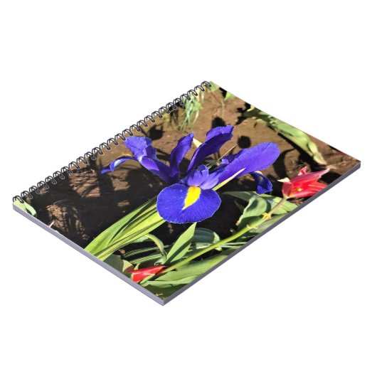 Iris in einem Tulip Field, Woodburn, Oregon Notizblock (Linke Seite)