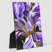 Iris in Violet Lilac und Lila botanische Kunst Fotoplatte (Seite)