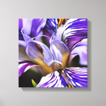 Iris in Violet Lilac und Lila botanische Kunst