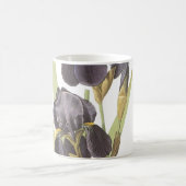 Iris (Iris germanica) von Redouté Kaffeetasse (Mittel)