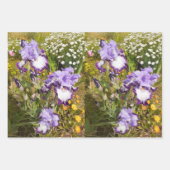 Iris Iris Lila Blume Floral Lavender Geschenkpapier Set (Vorderseite 3)