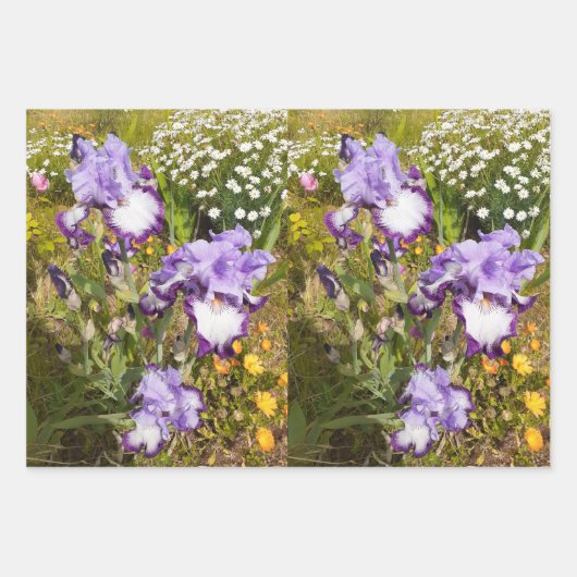 Iris Iris Lila Blume Floral Lavender Geschenkpapier Set (Vorderseite 3)