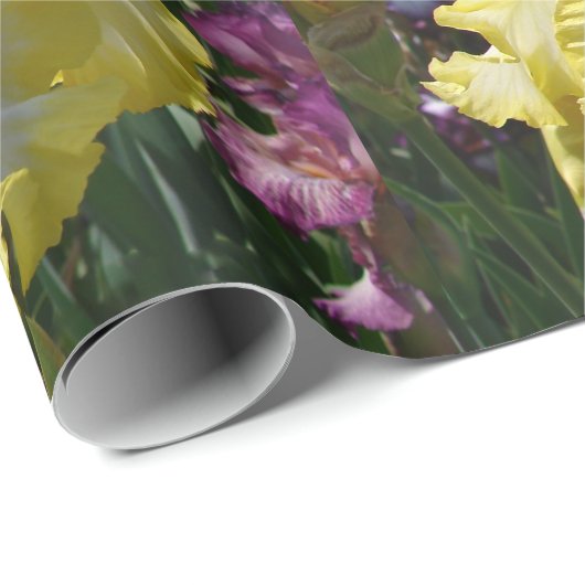Iris irises Blume Gelb Weißer Bartu Geschenkpapier (Rolleneckpunkt)