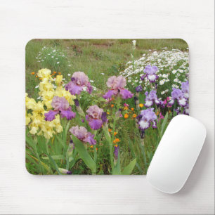 Iris irises Blume Hütte Garden Mousepad