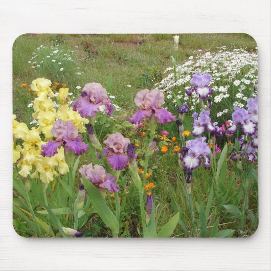 Iris irises Blume Hütte Garden Mousepad (Vorne)