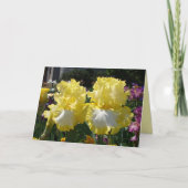 Iris irises blumengeschmückte Blume Gelbe Bartete  Karte (Vorderseite)