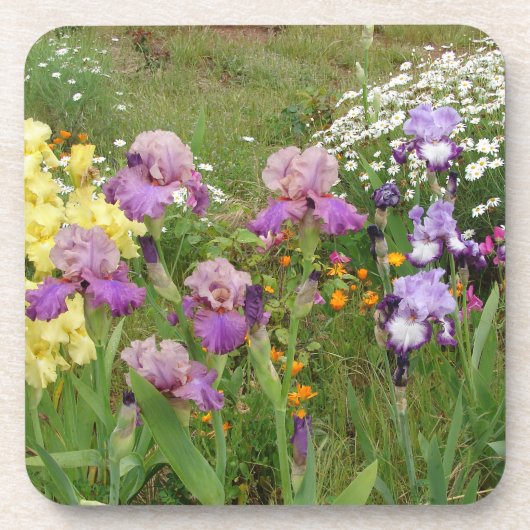 Iris irises blumengeschmückte Blume Hütte Garden G Getränkeuntersetzer (Vorderseite)