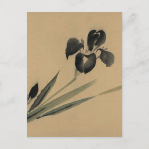 Iris Japanese Ukiyo-e Art Postkarte
