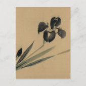 Iris Japanese Ukiyo-e Art Postkarte (Vorderseite)