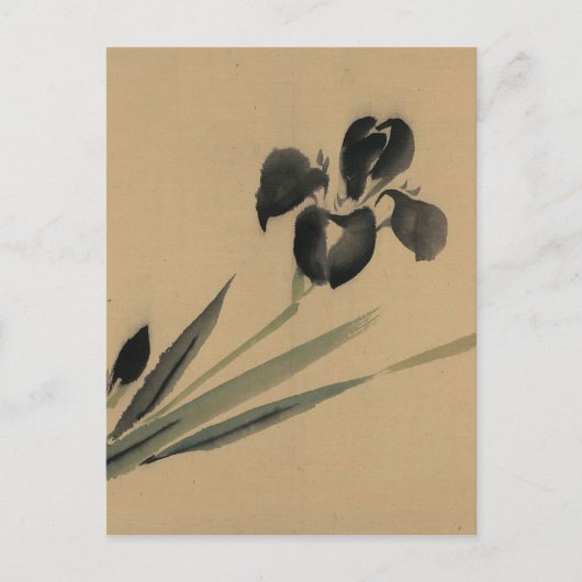 Iris Japanese Ukiyo-e Art Postkarte (Vorderseite)