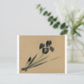 Iris Japanese Ukiyo-e Art Postkarte (Stehend Vorderseite)