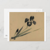 Iris Japanese Ukiyo-e Art Postkarte (Vorne/Hinten)