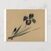 Iris Japanese Ukiyo-e Art Postkarte (Vorderseite)