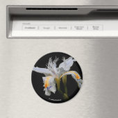 Iris Japonica im Spotlight Magnet (In Situ (Geschirrspüler))