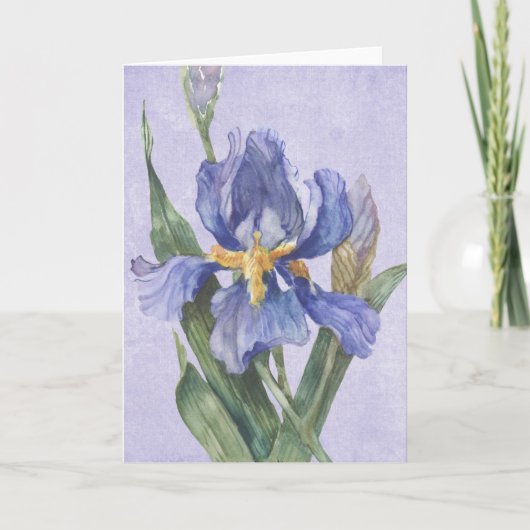 Iris Karte (Vorderseite)