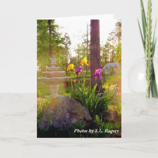 Iris Karte (Vorderseite)