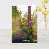 Iris Karte (Gelbe Blume)