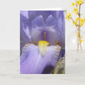 Iris Karte (Gelbe Blume)