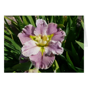 IRIS-KARTE - DUREL NACHZÜGLER - leere Karte