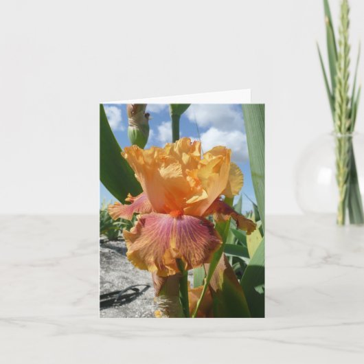 IRIS-KARTE - FLASCHENROCKET - leere Note Card Karte (Vorderseite)