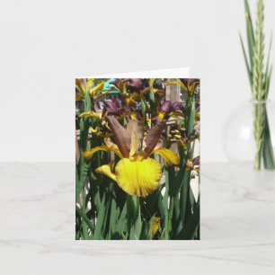 IRIS-KARTE - PIPER MAG - leere Note Card Karte