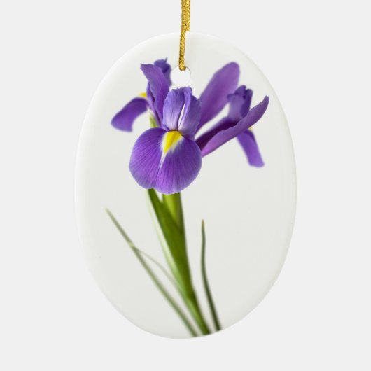 Iris Keramikornament (Vorne)